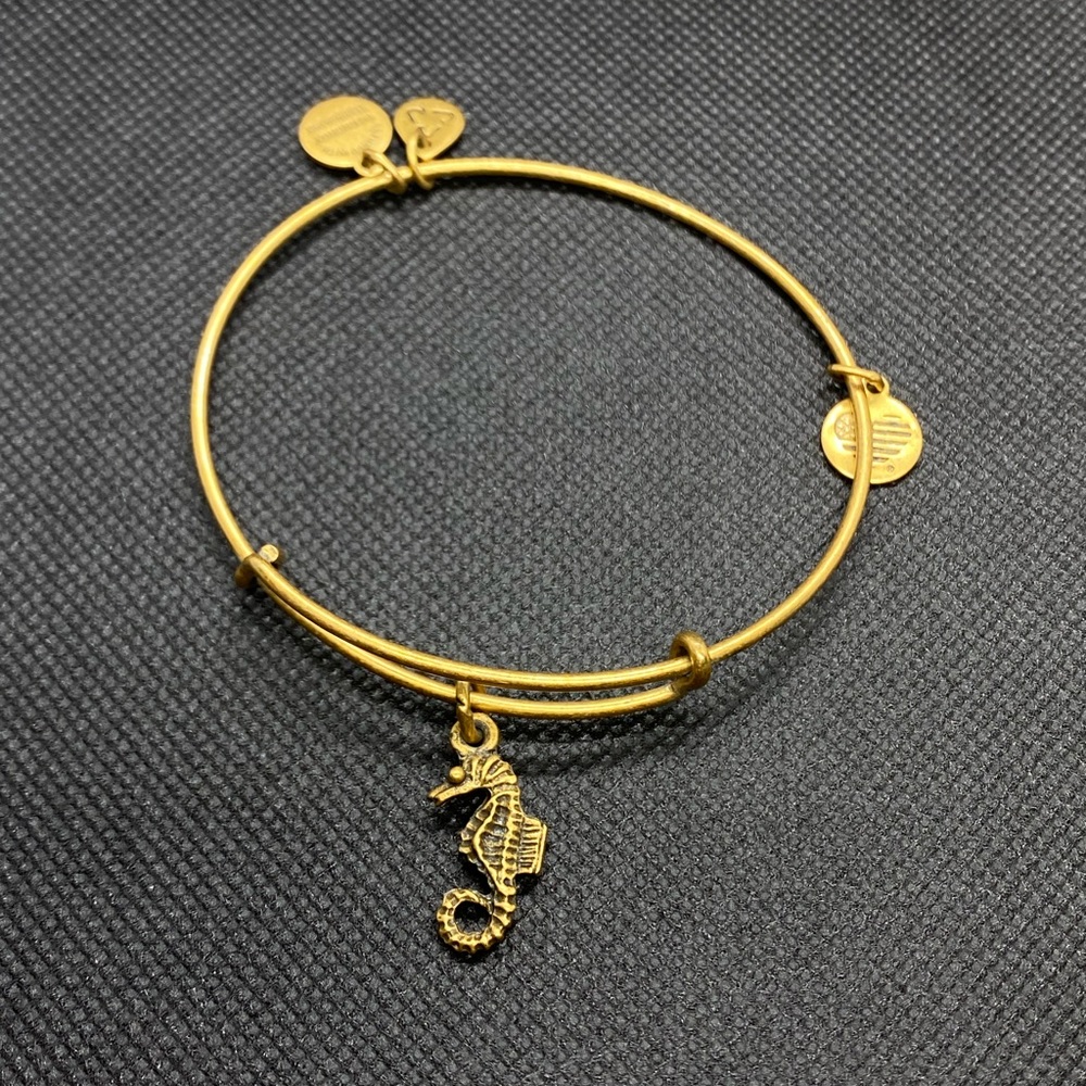 Alex and Ani Bracelet Bronze Seahorse